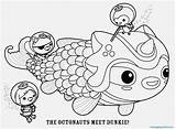 Coloring Pages Octonauts Portraits Teahub Io Kwazii Kb Size sketch template