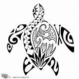 Turtle Tribal Maori Polynesian Tortuga Samoan Tatuajes Tortugas Polinesios Tartaruga Tatuagem Tatuagens Tortue Diseños Pés Bebês Tatouage Hawaianos Tribales Pluspng sketch template