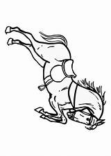 Paard Saltando Springend Pferd Springendes Caballo Malvorlage Cavallo Ausdrucken Educima Educolor Kleurplaten sketch template