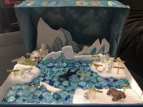 tundra box diorama project   biomes project school crafts biomes