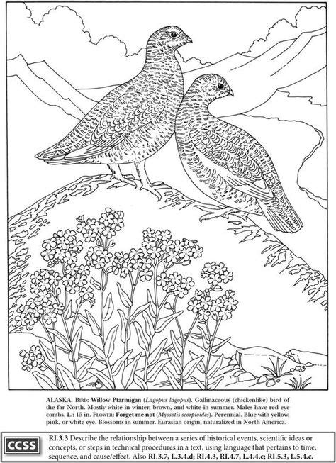 printable coloring pagestate birds  flowers coloring pages