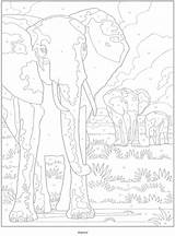 Dover Publications Coloring Tieremalen Fikraborsasi sketch template