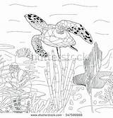 Loggerhead Turtle Drawing Paintingvalley sketch template