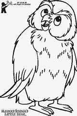 Owl Coloring Pages Little Bear Color Hibou Coloriage Imprimer Gif Click Drawing sketch template