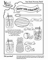 Worksheets Hydrated Staying sketch template