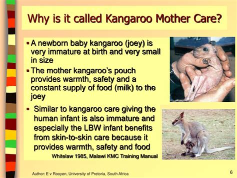 Ppt Kangaroo Mother Care Introduction And Components Powerpoint