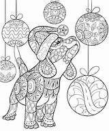 Erwachsene Coloring Adulte Perrito Ornamente Ausmalen Ausdrucken Gorro Weihnachtliche Perro Malvorlagen Adulto Kleurende Kerstmishoed Dragen Boek Volwassen Leuke Hond Kleine sketch template