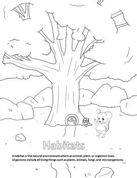 animal habitat coloring pages google search st grade sketch coloring page