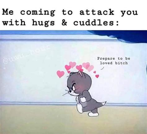 Pin By Steph On Funnies Cute Love Memes Hug Meme