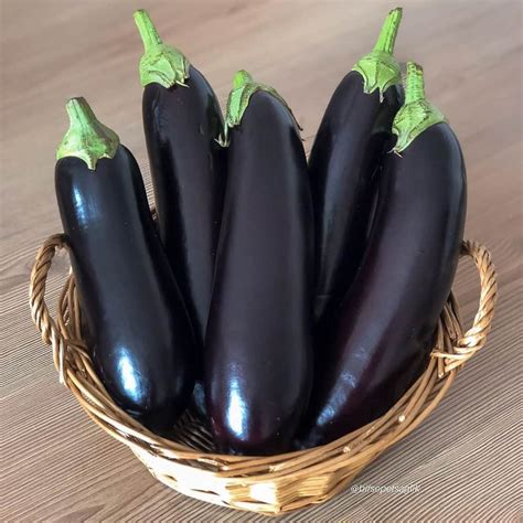 amazing aubergine recipes    resist brieflycoza