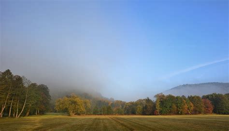 morgens nebel park kostenloses foto auf pixabay