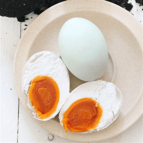 15 Warna Kuning Telur Asin Terpopuler