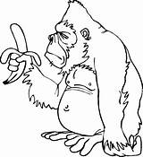 Gorilas Gorila Pages sketch template