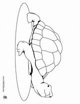 Jabuti سلحفاه للتلوين Hellokids Imagens Turtles Animais sketch template
