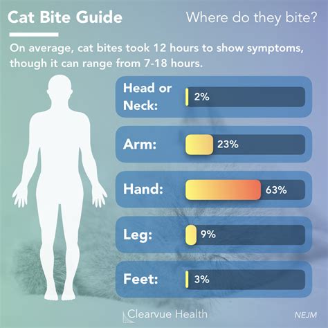 charts cat bite guide symptoms   aid