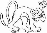 Scimmie Scimmia Disegno Animali Giorg Impressionante Coloratutto sketch template