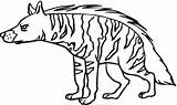 Hyena Hiena Rayada Scary Pantanal Hienas Mato Coloringbay Noites sketch template