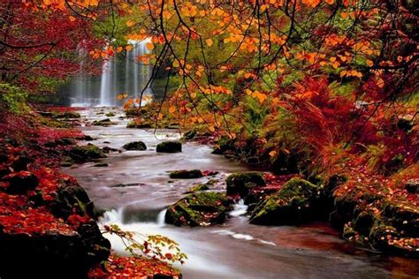 fall background ·① download free stunning full hd wallpapers for desktop and mobile devices in