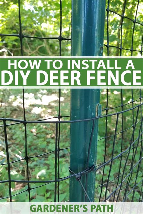 How To Install A Deer Fence To Keep Wildlife Out Gardeners Path