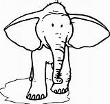 Elephant Ears Coloring Pages Mickey Mandala Vector Drawing Getcolorings Clipartmag Getdrawings sketch template
