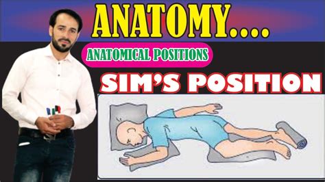 sims position anatomical positions explained practically learn