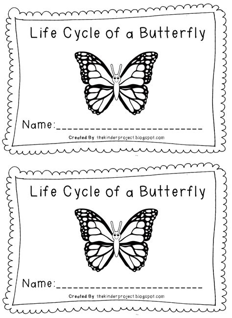 kinder project butterfly life cycle reader