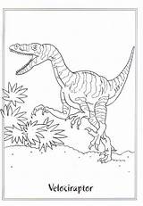 Genial Mompitz Dinosaurier sketch template