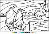 Coloring Colorat Pinguins Pinguini Pinguin Desene Supercoloring Imagini sketch template