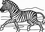 Zebra Coloring Pages Realistic Printable Color Getdrawings Getcolorings Print Face 432px 95kb sketch template