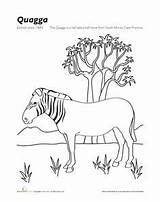 Extinct Animals Coloring Pages Getcolorings Designlooter Getdrawings 56kb 442px sketch template