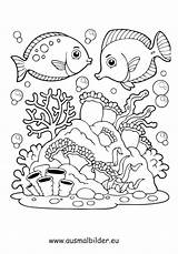Wasser Fische Malvorlage sketch template