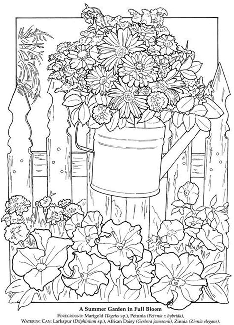 summer garden garden coloring pages summer coloring pages adult