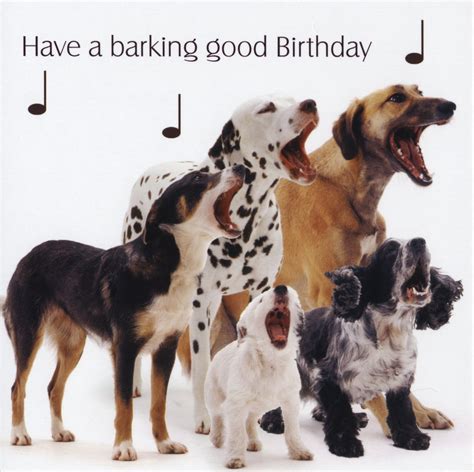 birthday quotes  dogs quotesgram