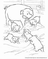 Coloring Farm Animal Pages Pig Mud Pigs Play Animals Baby Honkingdonkey Kids sketch template