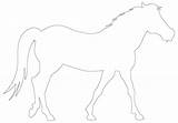 Horse Outline Drawing Outlines Applique Freequilt sketch template