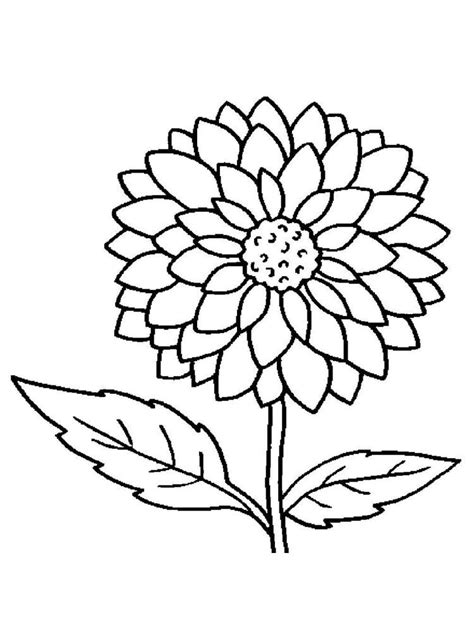 beautiful flower flower coloring pages printable lautigamu