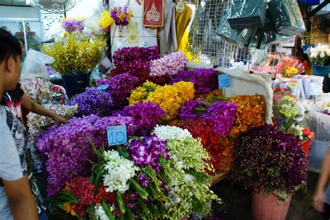 pak khlong talat flower market flower market bangkok travel