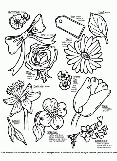 types  flowers coloring pages printable templates