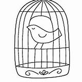 Coloring Cage Bird Pages Flying Kids Choose Board Designlooter sketch template