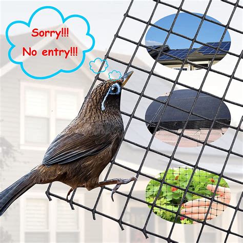 squirrel guard pvc coated wire mesh critter guard weather proof