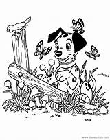 Coloring Pages 101 Dalmatians Dalmatian Puppy Printable Disneyclips Disney Spring Puppies Field Funstuff sketch template