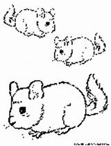 Coloring Pages Animals Pika Fun sketch template
