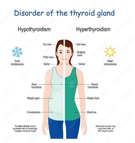 hypothyroidism and hyperthyroidism what s the difference dr sharad ent