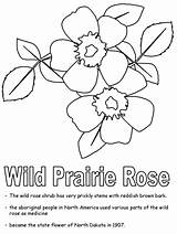 Rose Coloring Prairie Pages Wild Animals Popular Geography Gif Northdakota Kidzone Ws Usa sketch template
