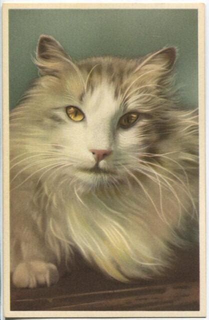 Vintage Asian Semi Longhair Cat Gold Eyes White Gray Lithograph Print