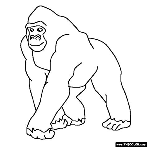 rainforest  coloring pages thecolorcom