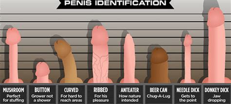 best penis size for women sex nude celeb