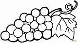 Coloring Grapes Clipart Grape Library Clip sketch template