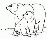 Polar Bear Cute Coloring Pages Getdrawings Getcolorings sketch template