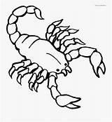Scorpion Coloring Craft Print Color Clipartkey sketch template